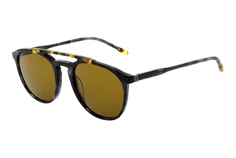Solbriller Hackett HSB802 050