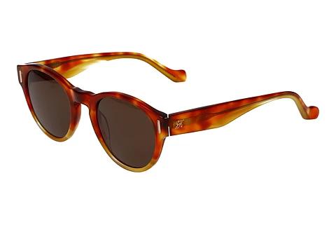 Solbriller Hackett HSB804 337