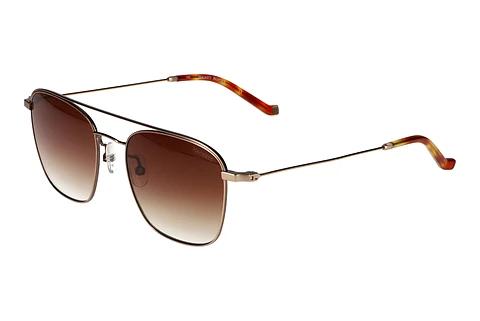 Solbriller Hackett HSB905 429
