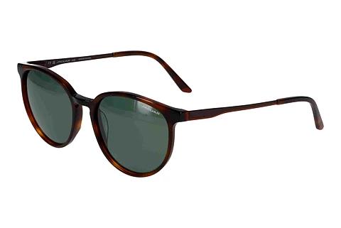 Solbriller Jaguar 37262 4982
