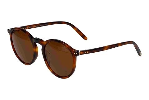 Solbriller Jaguar 37282 4982