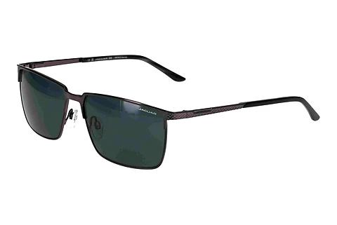 Solbriller Jaguar 37372 4200