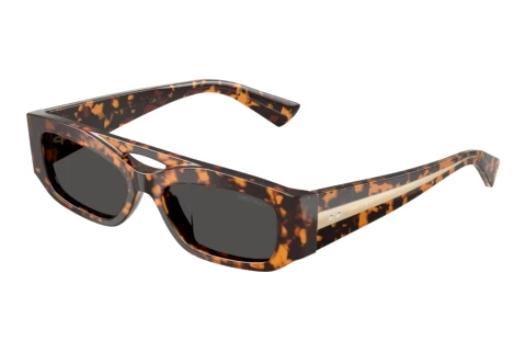Solbriller Jimmy Choo JC5070BU 512187