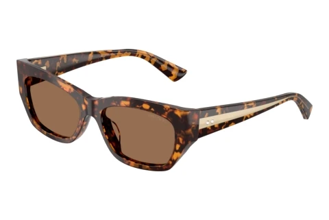 Solbriller Jimmy Choo JC5071BU 512173
