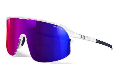 Solbriller Julbo DENSITY 10_J561