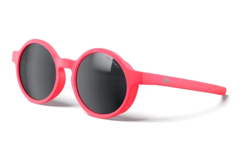 Solbriller Julbo RANGER 79_J581