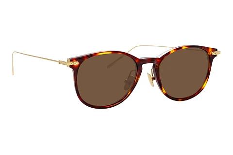 Solbriller Linda Farrow LF01 C9