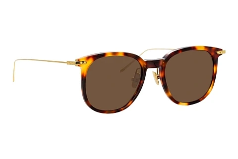 Solbriller Linda Farrow LF04 C12