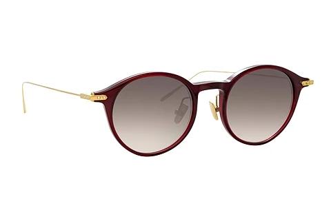 Solbriller Linda Farrow LF06 C10