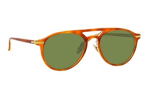 Solbriller Linda Farrow LF23 C8