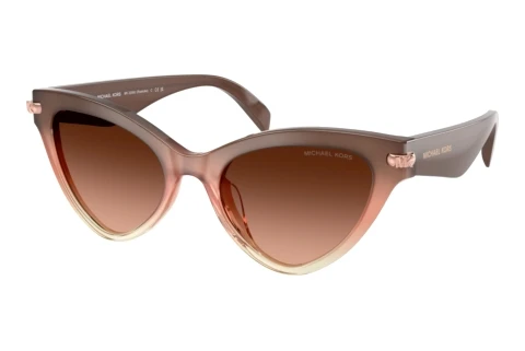 Solbriller Michael Kors ROANOKE (MK2259U 40355M)