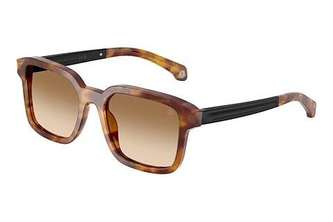 Solbriller Moncler QUADERNA (ME6006 301189)