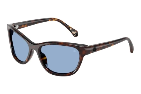 Solbriller Moncler ME6031U 300280