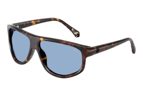 Solbriller Moncler ICEBORNE (ME6033U 300280)