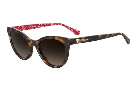 Solbriller Moschino MOL079/S 2VM/HA
