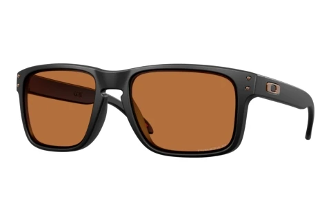 Solbriller Oakley HOLBROOK (OO9102 9102AM)