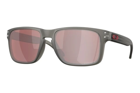 Solbriller Oakley HOLBROOK (OO9102 9102AR)