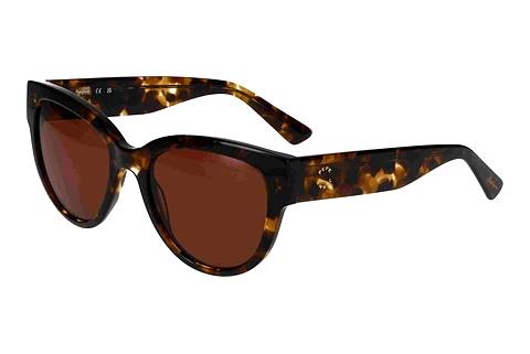 Solbriller Pepe Jeans 417466 101