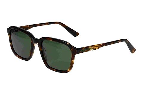 Solbriller Pepe Jeans 417486 101