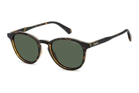 Solbriller Polaroid PLD 4191/S 086/UC