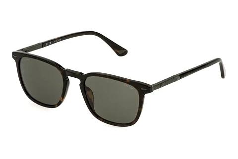 Solbriller Police SPLQ86 722P