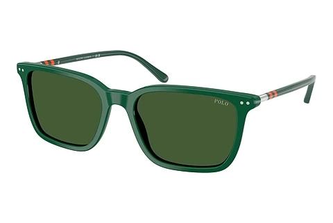 Solbriller Polo PH4226 542171