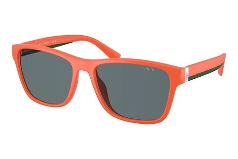 Solbriller Polo PH4229U 54606G