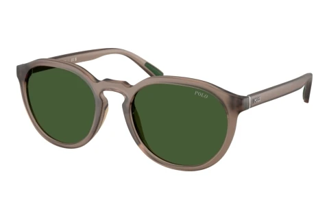 Solbriller Polo PH4232U 631371