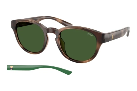 Solbriller Polo PH4233U 607071
