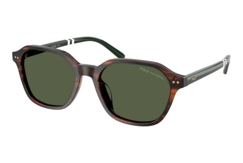 Solbriller Polo PH4234U 63159A