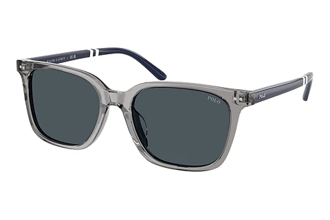 Solbriller Polo PH4235U 631887
