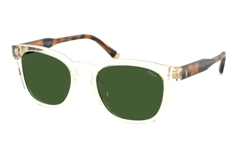 Solbriller Polo PH4242U 635771