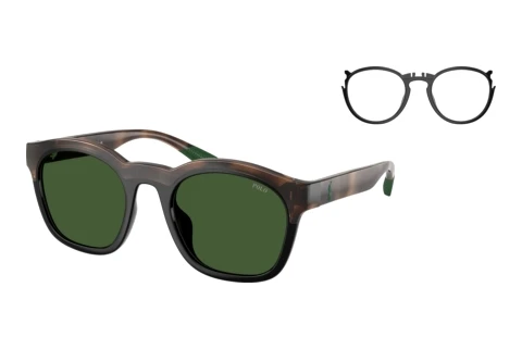 Solbriller Polo PH4243U 607071