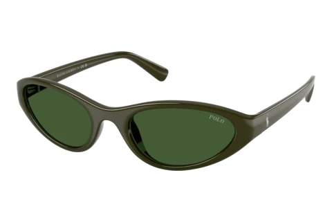 Solbriller Polo PH4248U 586171
