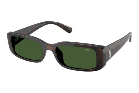 Solbriller Polo PH4249U 586071