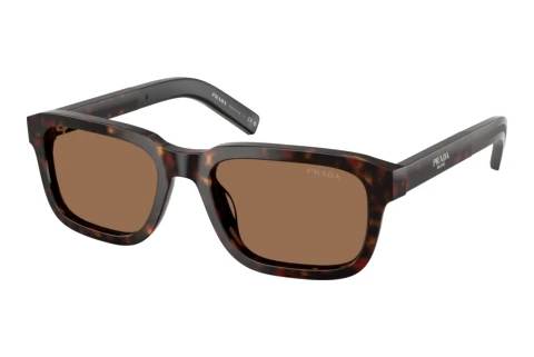 Solbriller Prada PR D16S 17N60M