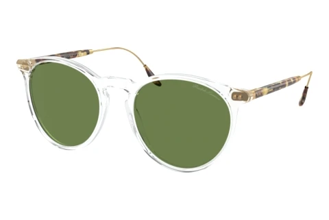 Solbriller Ralph Lauren RL8181P 50024E
