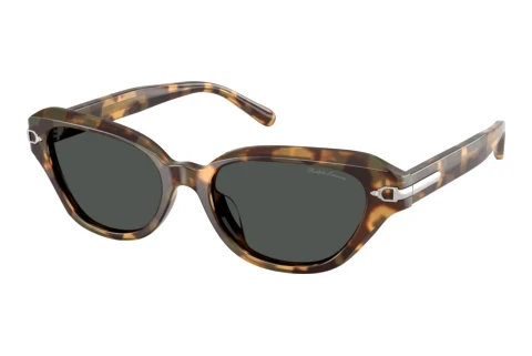 Solbriller Ralph Lauren RL8244U 617887