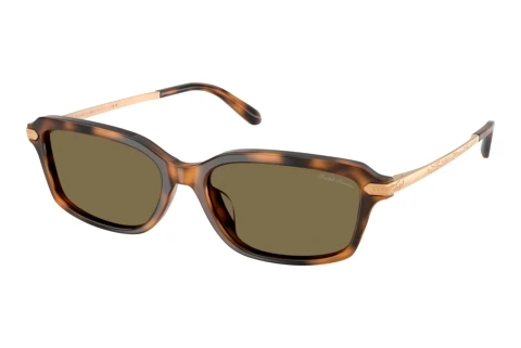 Solbriller Ralph Lauren RL8245U 608973