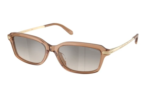 Solbriller Ralph Lauren RL8245U 637708