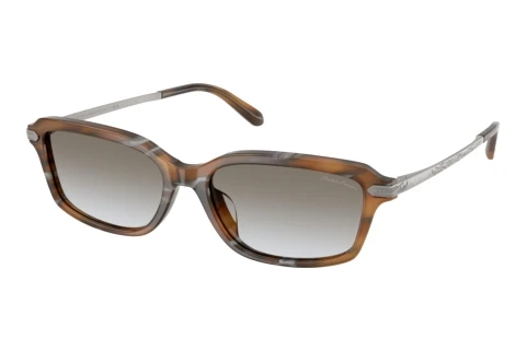 Solbriller Ralph Lauren RL8245U 637911