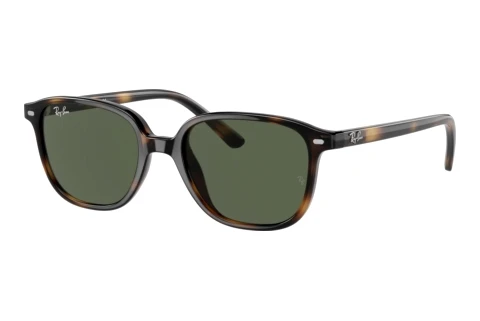 Solbriller Ray-Ban Kids Junior Leonard (RJ9093S 152/71)
