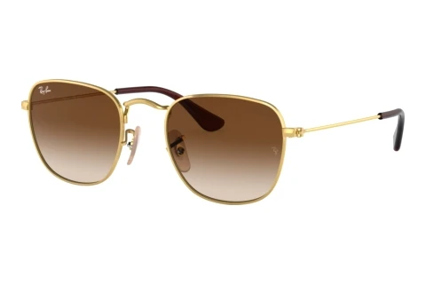 Solbriller Ray-Ban Kids Junior Frank (RJ9557S 223/13)