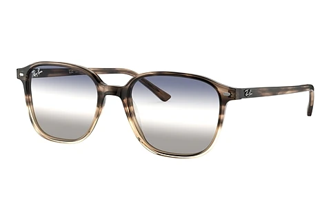 Solbriller Ray-Ban LEONARD (RB2193 1327GF)