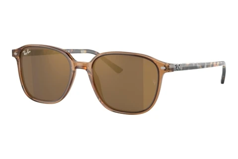 Solbriller Ray-Ban LEONARD (RB2193 663693)