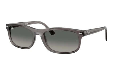 Solbriller Ray-Ban RB2224 667571