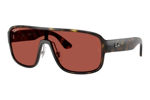 Solbriller Ray-Ban RB2229 710/1B