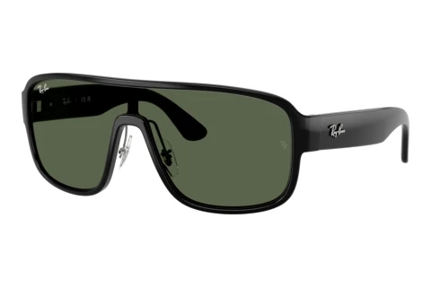 Solbriller Ray-Ban RB2229 901/71