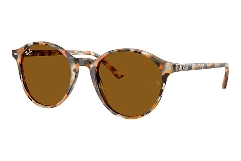Solbriller Ray-Ban RB2230 135733