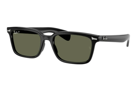 Solbriller Ray-Ban BRUNEL (RB2234 901/58)